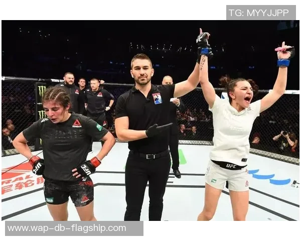 UFC凯恩与布朗的巅峰对决谁能笑到最后精彩赛事前瞻与分析